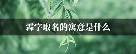 霖取名意思|霖樾的名字寓意是什么意思 霖樾的意思